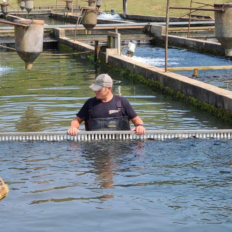 Aquaculture AnimalYeast