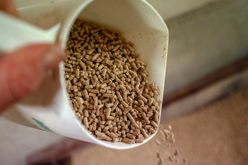 Yeast culture feed AnimalYeast