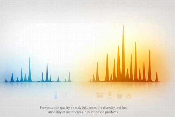 fermentationqualitymetaboliteprofilediagram AnimalYeast Relationship between fermentation quality and metabolite profile in yeast culture