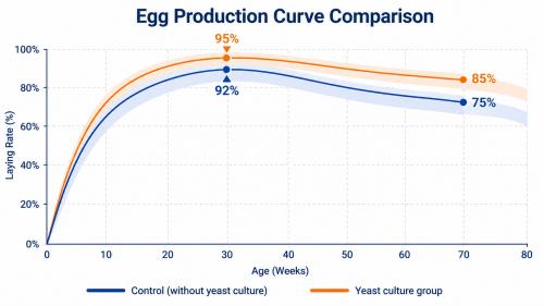 Egg production curve comparison yeast culture group shows higher and more stable laying rate versus control group over 80 weeks